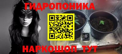 ПСИЛОЦИБИНОВЫЕ ГРИБЫ Краснодар