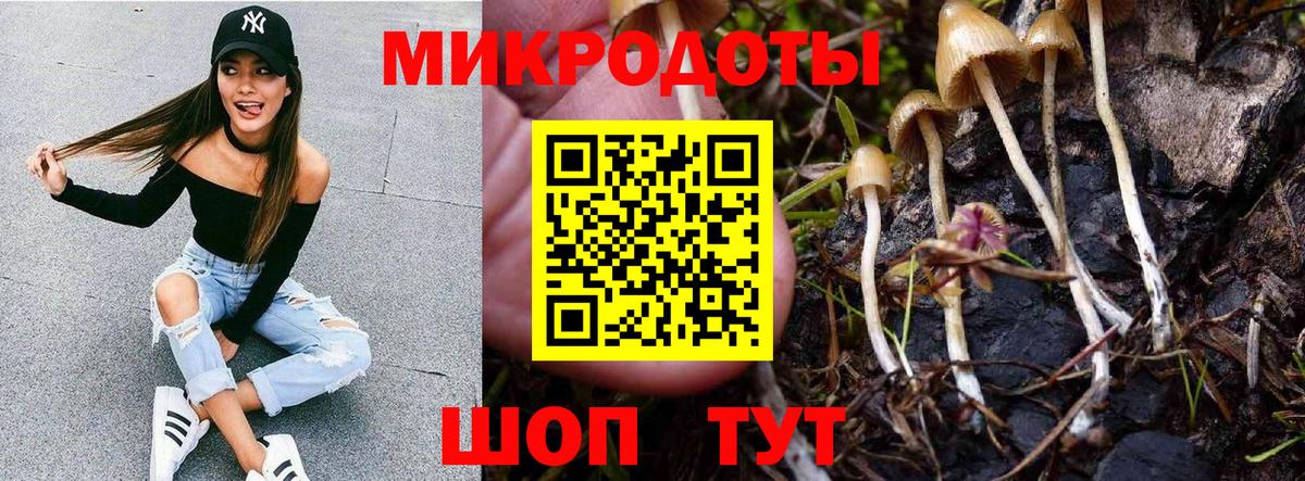Псилоцибиновые грибы MAGIC MUSHROOMS Коряжма