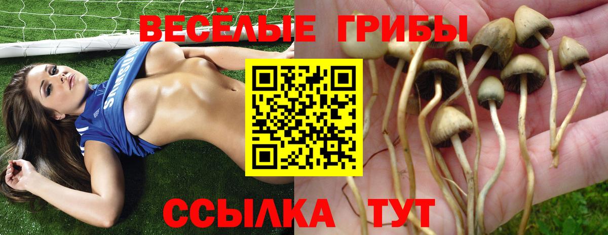 Псилоцибиновые грибы мухоморы  Вход с VPN  Коряжма 